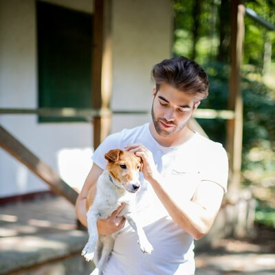 horvbalint's avatar