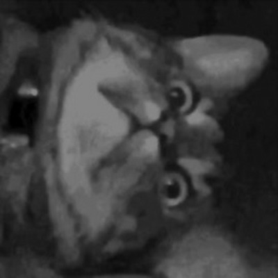puruvjdev's avatar