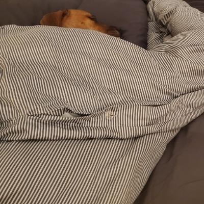 mhack's avatar