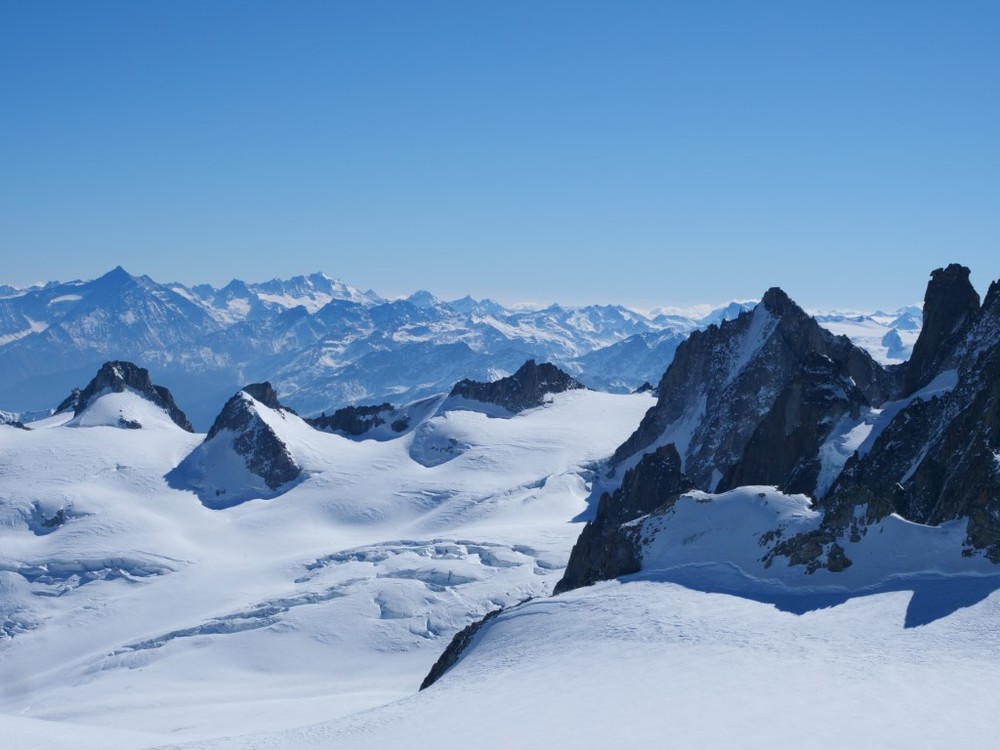 BubblegumYeti's profile header